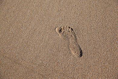 Xbox中国可能泄露了《最终幻想7：重制版》Xbox版